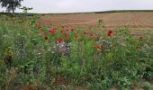 Tour Wandern Wissant - PAS DE CALAIS: WISSANT - CAP GRIS NEZ - Photo 1
