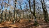 Trail Walking Saint-Urcize - St Urcize Carbonade Goutal Recoules  - Photo 5