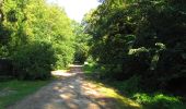 Trail On foot Compiègne - en forêt de Compiègne_34_autour du Buissonnet et du Berne - Photo 3