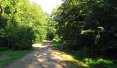 Randonnée A pied Compiègne - en forêt de Compiègne_34_autour du Buissonnet et du Berne - Photo 3