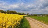 Randonnée Marche Doische - De Gochenée à Vodelée par la vallée de l'Hermeton - Photo 11