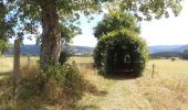 Tour Wandern Stoumont - Stoumont Coo via via - Photo 13