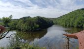 Trail Walking Houffalize - Marché Jean Mormont - Photo 2