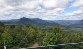 Tour Wandern Kestenholz - Le Hahnenberg et les balcons de Sélestat - Photo 17