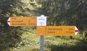 Trail On foot Schangnau - Innereriz - Kemmeribodenbad - Photo 8