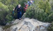 Excursión Senderismo Vernègues - PF-Vernègues - Boucle dans le passé antique de Vernègues - Photo 7