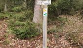 Trail Walking Paliseul - maissin 30 /01/2020 - Photo 1