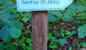 Trail Nordic walking Volvic - Moity  - Photo 1