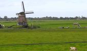 Tocht Te voet Edam-Volendam - NL-Kijk over Kogenroute: Alternatieve route tijdens broedseizoen (15maart -15 juni) - Photo 4