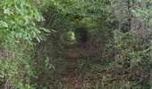 Trail Walking Toulon-sur-Arroux - RANDO_La_Croix_Des_Autrichiens - Photo 9