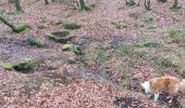 Trail Walking Camors - PR_56_Camors_BA_02_L-Eau_Circuit1b_20230218 - Photo 8