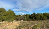 Excursión Senderismo Castelnau-de-Guers - L’étendoir aux fées  - Photo 13