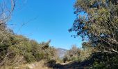Trail Walking Laroque - laroque, plateau de thaurac - Photo 17