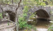 Randonnée Marche Mazaugues - Saut du Cabri gorges du Carami - Photo 8