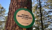 Tocht Stappen Le Syndicat - Les roches de Mortevieille - Photo 11