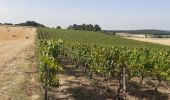 Trail Walking Crissay-sur-Manse - crissay sur mance - Photo 10