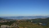 Tocht Te voet Vigo - Sendeiro Local de Zamáns - Photo 8