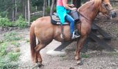 Trail Horseback riding Vacqueville - vacqueville chez Heidi bertrichamp  - Photo 3