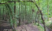 Tocht Stappen Leuze-en-Hainaut - balade des 7 meuse - Photo 1