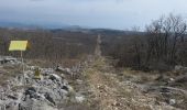 Excursión Senderismo Gattières - Baou de la Gaude, Mouton d'Anou et Monséguise - Photo 4