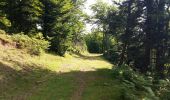 Trail On foot Lanne-en-Barétous - ISSARBE les crêtes    2893126 - Photo 4