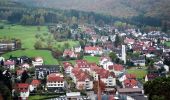 Randonnée A pied Bad Soden-Salmünster - Stolzenberger Ritterblick ( Spessartfährten ) - Photo 10