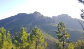 Trail Walking Saint-Raphaël - la dent et pic de l'Ours - Photo 4