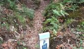 Randonnée Marche Lepuix - Giromagny - sentier des mines - 2 à visiter - Photo 3