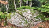 Excursión Senderismo Pélussin - croix de Montvieux château Belize - Photo 4