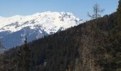 Trail Walking La Plagne-Tarentaise - Les Frasses  - Photo 2