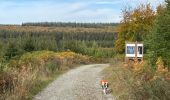 Trail Walking Libramont-Chevigny - Libramont Bois de Bernihé parcours BD - Photo 12