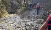 Tour Wandern Sablet - Les crêtes de saint Amant  - Photo 1