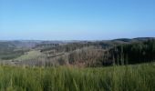 Trail Walking La Roche-en-Ardenne - La Roche n 6 - Photo 1