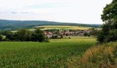 Percorso A piedi Hann. Münden - Rundwanderweg Scheden 1 - Photo 10