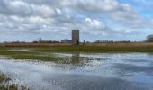 Tocht Stappen Diksmuide - Blankaart 24 km - Photo 17