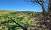 Tour Wandern Wanze - Bas Oha 180325 - Photo 7
