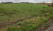 Tocht Stappen Ferrières - balade des petits lapins - Photo 3