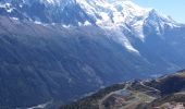 Excursión Senderismo Chamonix-Mont-Blanc - MASSIF DU MONT BLANC: INDEX-LAC BLANC-FLEGERE - Photo 4