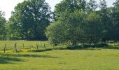 Excursión A pie Tangstedt - Rund um Gut Wulksfelde entlang der Oberalster - Photo 4