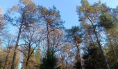 Trail Walking Spa - tour des 10 sources  - Photo 14