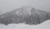 Tocht Te voet Oberaudorf - Weg Nr. 7 - Brünnstein - Oberaudorf/Hocheck - Photo 1