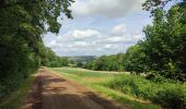 Tour Wandern Rouvroy - la torgnolaise  - Photo 11