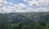 Tocht Stappen Bouillon - rando rochehaut 11-06-2022 - Photo 6