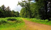 Trail On foot Tracy-le-Mont - le GR655 dans les Forêts de Laigue et de Compiègne - Photo 10