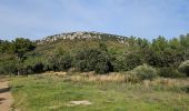 Trail Walking Cuers - Promenade sous les barres de Cuers, en partant du village de Cuers - Photo 8