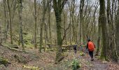 Tocht Noords wandelen Rosport-Mompach - Gr5 E2 de  Rosport à Beaufort - Photo 1