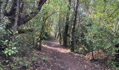 Trail Walking Draguignan - Draguignan Roche aux Fées Malmont 17 km - Photo 8