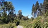 Tocht Stappen Sankt Vith - Rodt petite escapade en Ostbelgien - Photo 7