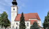 Tour Zu Fuß Aschbach-Markt - Bärenholzweg - Photo 1