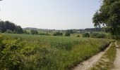Trail Walking Mettet - Pontaury Bambois - Photo 2